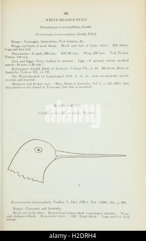 A scientific study detailing the vertebrate fauna of Abyssinia ...