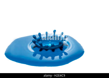 Drop of blue color created crown after falling into a puddle of blue. All is isolated on the white background. Stock Photo