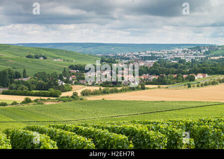 France, Champagne, vineyards, Champillon, Epernay Stock Photo: 30516608 ...