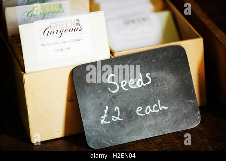 Seed packets for sale, a chalk sign with a price. Stock Photo