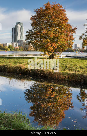 London, UK. 28th Oct, 2016. West Reservoir. Beautiful weather in London, UK. Copyright Credit:  carol moir/Alamy Live News Stock Photo