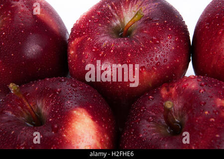 maroon apples closeup Stock Photo