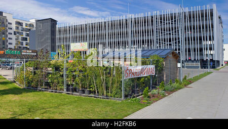 VILNIUS, LITHUANIA - AUGUST 19, 2016: Sale of garden fruit and ornamental plants and trees  in the small market near Norfa shop. Stock Photo