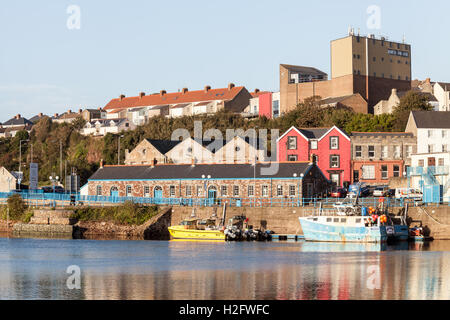 Milford Haven Marina, Pembrokeshire, Wales, UK Stock Photo