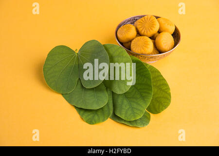 greeting card saying happy vijayadashmi or happy dussehra, indian festival dussehra, showing apta leaf or Bauhinia racemosa Stock Photo