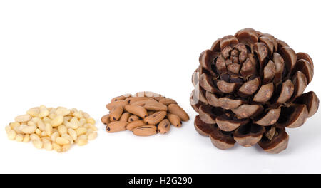 Stone pine cone with seeds and shelled nuts over white. Geometric pine cone, seeds and shelled nuts. Close up macro food photo. Stock Photo