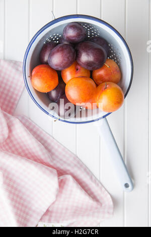 Yellow and purple plums in colander on white table. Top view. Stock Photo