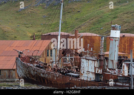 Whaler Shipwreck at Grytviken, South Georgia. Petrel built in 1928 at Oslo and stopped whaling in 1956 Stock Photo