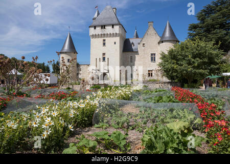 Chateau du Rivau with potager, red and white dahlias Stock Photo