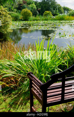 Seat overlooking garden pond at Glenwhan Gardens, Dunragit, near Stranraer in Dumfries and Galloway, southwest Scotland. Stock Photo