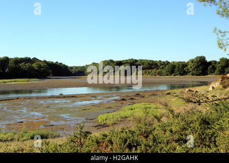 View of Riviere du Vincin at low tide from footpath Tour du Golfe, Conleau, Vannes, Morbihan, Brittany, France Stock Photo