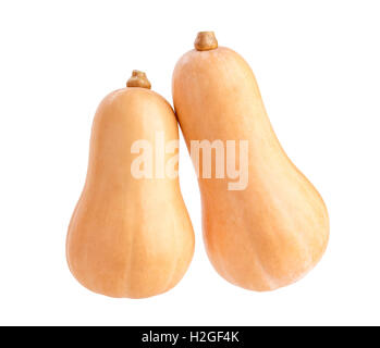 Butternut squash isolated on a white background Stock Photo