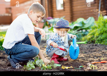 Children planting strawberry seedling in to fertile soil outside in garden Stock Photo