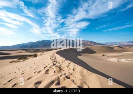 Sand dune tracks, Mesquite Flat Sand Dunes, Amargosa Mountain Range foothills, Death Valley National Park, California, USA Stock Photo