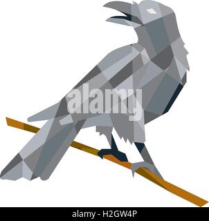 Low polygon style illustration of a crow bird perched on a piece of wood looking back set on isolated white background. Stock Vector