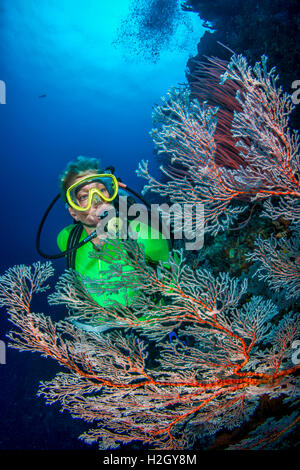 Blond female scuba diver explores coral reef in Pacific Ocean Stock Photo