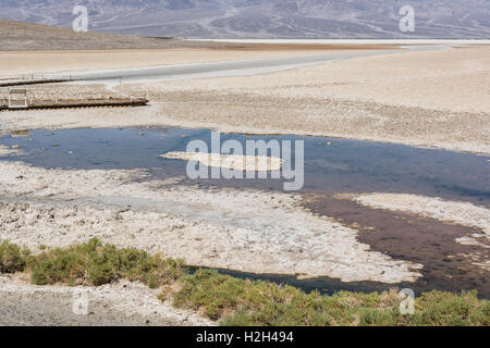 Badwater pool in Death Valley National Park, California Stock Photo