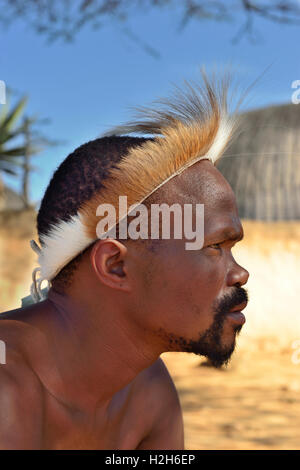 Zulu man troupe member in traditional head gear posing in front of a ...