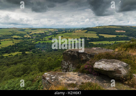 Heather on the top of the hill at Froggatt Edge, in the Peak District, Derbyshire Stock Photo