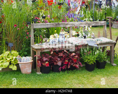 Part of the exhibit staged by Rectory Garden Plants - a nursery in Cheshire - at Tatton Park Flower Show, Cheshire, 2016. Stock Photo
