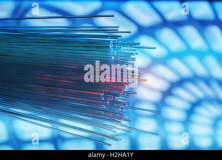 fiber optical network cable Stock Photo
