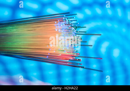 fiber optical network cable Stock Photo