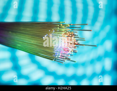 fiber optical network cable Stock Photo