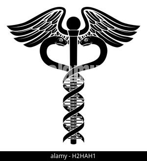 Caduceus medical symbol with the two snakes becoming a human DNA double helix genetic chromosome strand Stock Photo