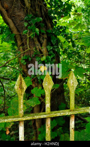 old railing Stock Photo