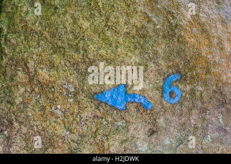 Rock texture of a boulder in the forest of Fontainebleau, with blue, painted marks, indicating a climbing route Stock Photo