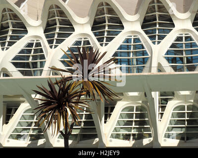 palm tree foliage in front of angular concrete metal and glass structures of Arts & Sciences Centre Center Valencia Stock Photo