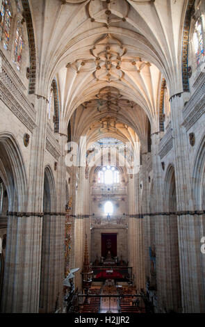 Nave of the New Cathedral, indoor view. Salamanca, Spain. Stock Photo