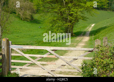 Country track with a five bar gate across it. West Sussex, England Stock Photo