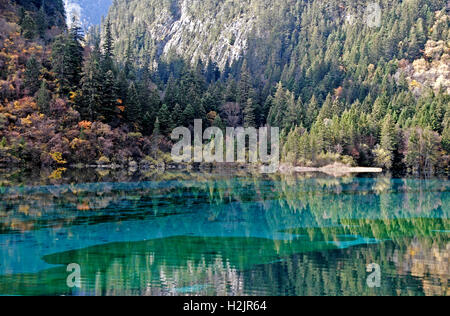The stunning colors of autumn reflect in the crystal clear emerald waters of Five Flower Lake at Jiuzhaigou National Park, China Stock Photo