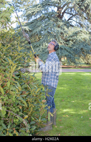 Man using long hedgetrimmer Stock Photo