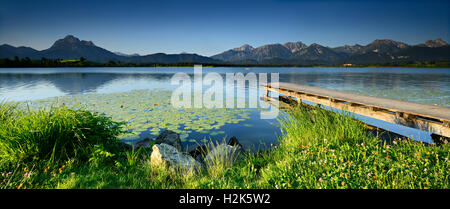 Pier and water lilies, Hopfensee, in front of the Allgäu Alps, Allgäu, Bavaria, Germany Stock Photo