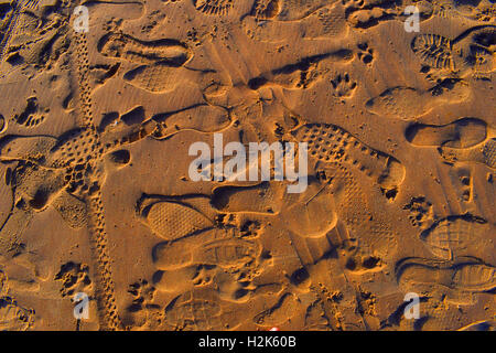 Footprints in the sand at the beach on a sunny day Stock Photo