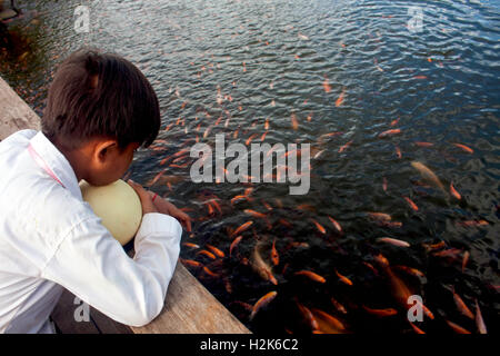 A young boy is looking at goldfish swimming in a pond at an amusement park in Tboung Khmum Province, Cambodia. Stock Photo