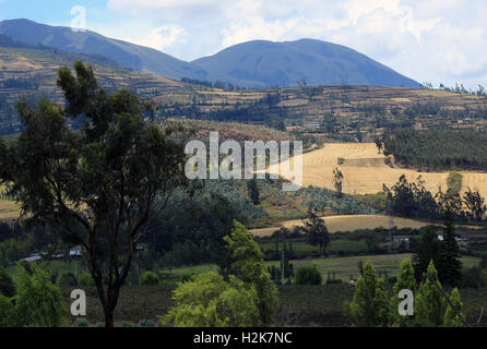 Fields, pastures and meadows on the side of a mountain in the Andes Mountains near Cotacachi, Ecuador Stock Photo
