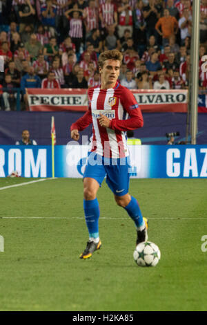 Madrid, Spain. 28th Sep, 2016. Griezman. Atletico de Madrid wins 1 to 0 in Vicente Calderon stadium, that gives 6 points and the head of group D in Champions League. © Jorge Gonzalez/Pacific Press/Alamy Live News Stock Photo