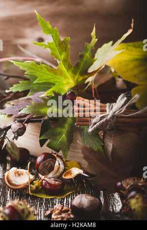 Autumn home decoration with  chestnuts, walnuts, cinnamon,  leaves. Happy Thanksgiving rustic  concept Stock Photo