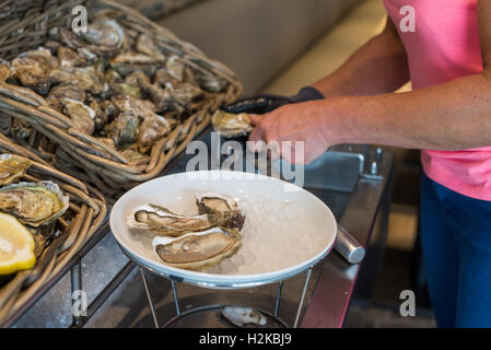 Woman preparing oysters in the restaurant, Cancale, Brittany, France, EU, Europe. Stock Photo