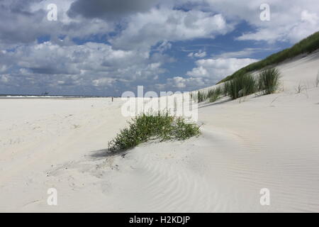 Dunes on island Ameland, Netherlands, Europe Stock Photo