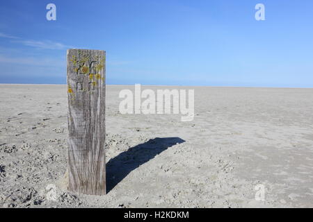 Wooden pole on a beach on island Ameland, Netherlands, Europe Stock Photo