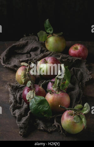 Harvest of wild apples with leaves on sackcloth rag over old wooden background. Dark rustic style Stock Photo