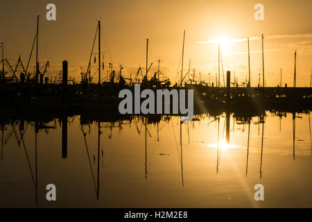 Newlyn Harbour, Cornwall, UK. 30th September 2016. UK Weather. The sun rises over the fishing port of Newlyn, with another fine day ahead. Credit:  Simon Maycock/Alamy Live News Stock Photo