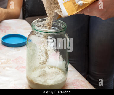 Making sourdough starter. Female hands. Stock Photo