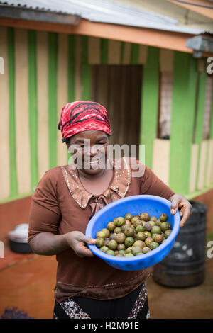 A fair trade macadamia nut grower holds freshly harvested nuts in Kirinyaga County, Kenya. Stock Photo