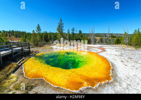 Wide angle view of the Morning Glory Pool in the Upper Geyser Basin in Yellowstone National Park Stock Photo
