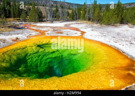 View of the Morning Glory Pool in Yellowstone National Park Stock Photo